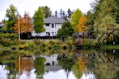 39 Surrey Beautiful British Columbia Photo By Thanasis Bounas