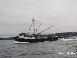 Campbell River or Wiwek̓a̱m