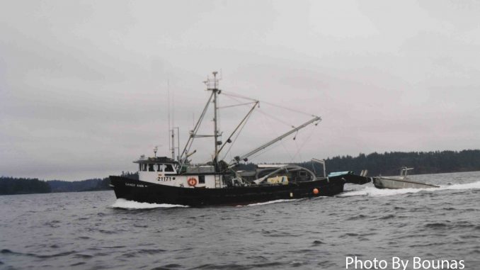 Campbell River or Wiwek̓a̱m