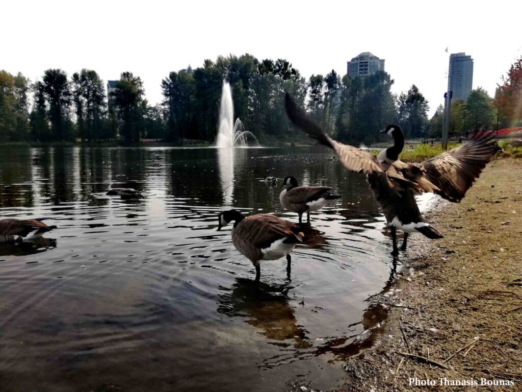 Lafarge Lake Coquitlam British Columbia Canada