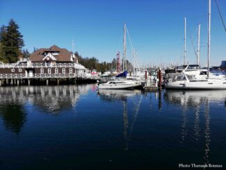 Pre-Colonial and Indigenous History of Stanley Park in Vancouver, British Columbia - Photo By Thanasis Bounas
