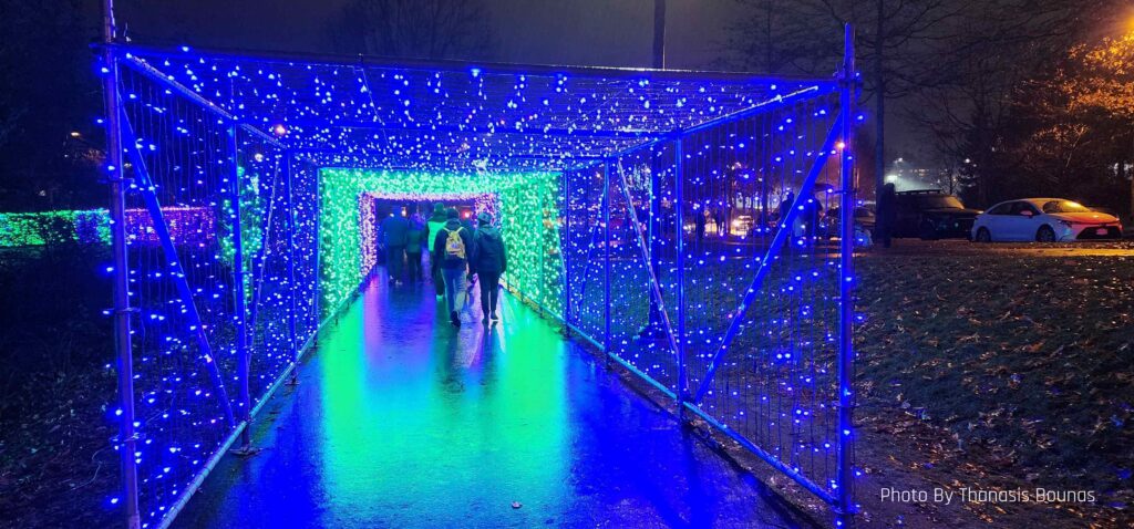 Lake Lafarge in Coquitlam at Christmas - Photo By Thanasis Bounas