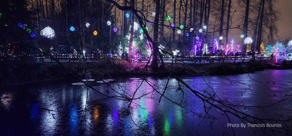 Beautiful Christmas at Lake Lafarge, British Columbia - Photo By Thanasis Bounas