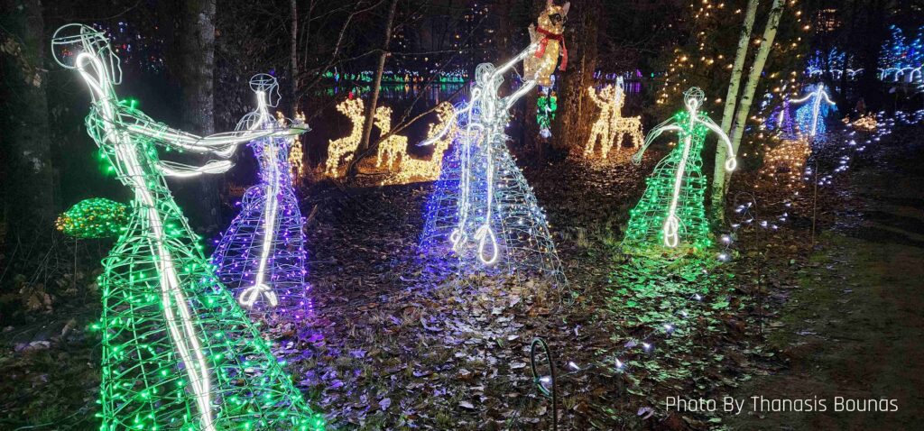 Lake Lafarge in Coquitlam at Christmas - Photo By Thanasis Bounas