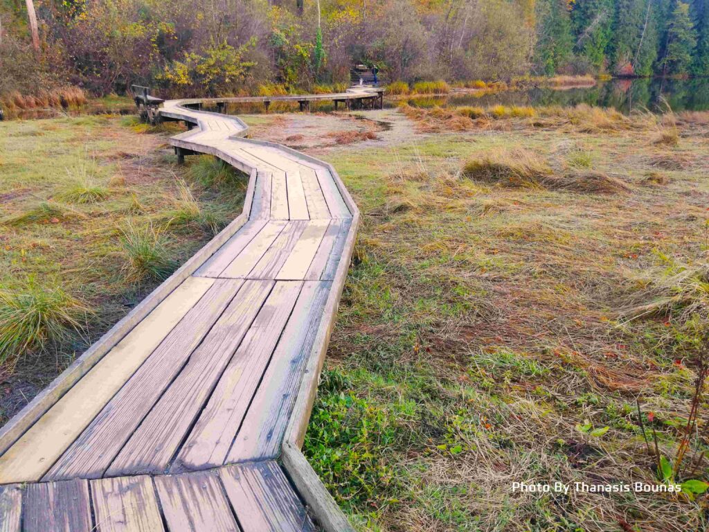The Shoreline Trail in Port Moody, British Columbia - Photo By Thanasis Bounas