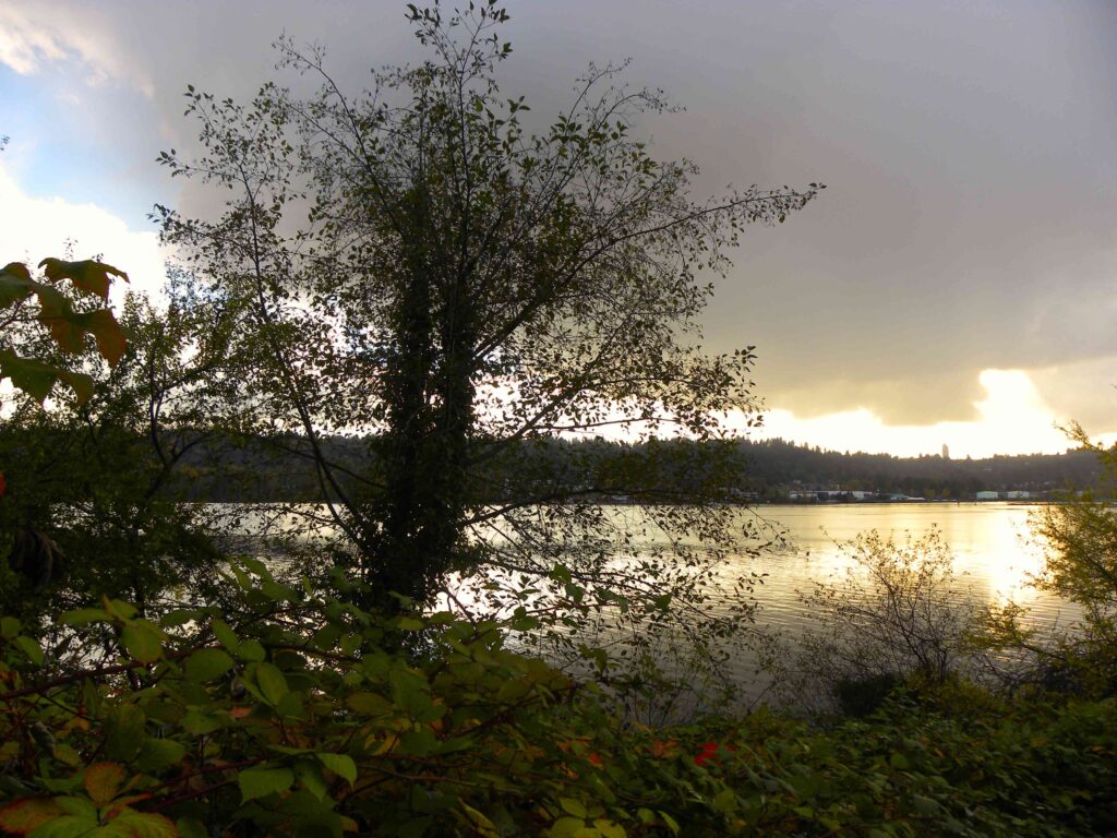 The history of Old Orchard Park Beach in Port Moody, British Columbia - Photo By Thanasis Bounas