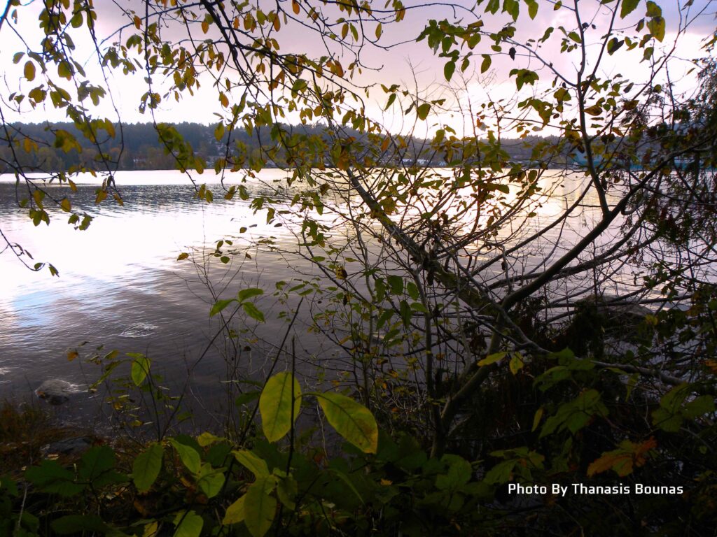 The history of Old Orchard Park Beach in Port Moody, British Columbia - Photo By Thanasis Bounas