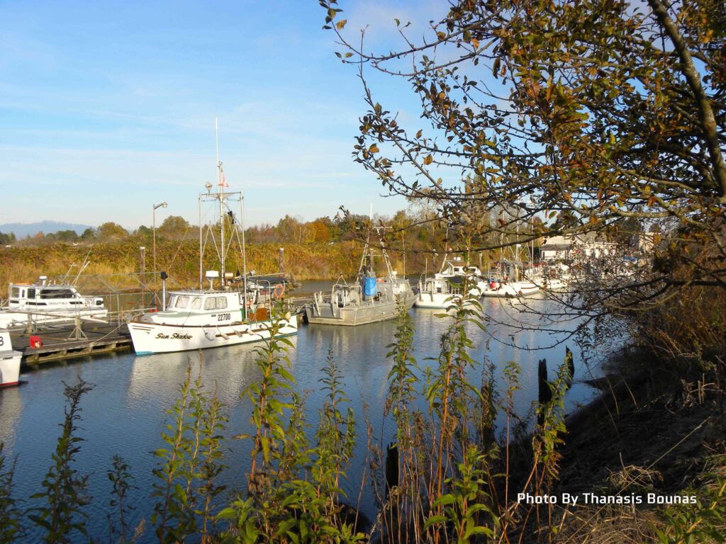 The history of Scotch Pond in Richmond, British Columbia - Photo By Thanasis Bounas