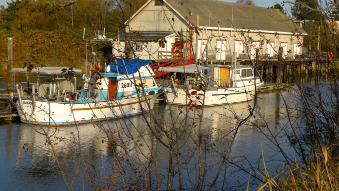 The history of Scotch Pond in Richmond, British Columbia - Photo By Thanasis Bounas