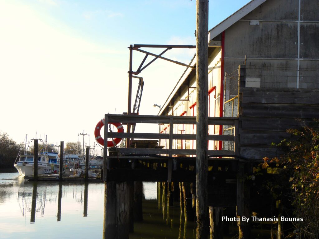 The history of Scotch Pond in Richmond, British Columbia - Photo By Thanasis Bounas