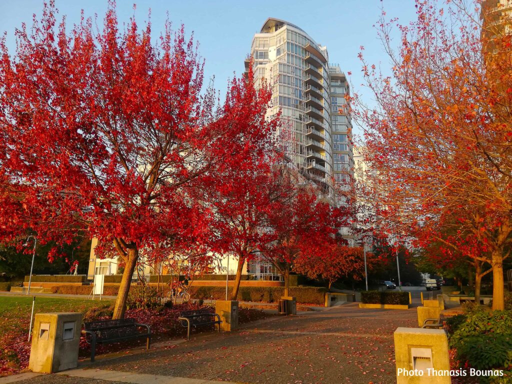 Glass and Steel Skyscrapers in Vancouver Unexpected Beauty in a Vertical City – Photo By Thanasis Bounas