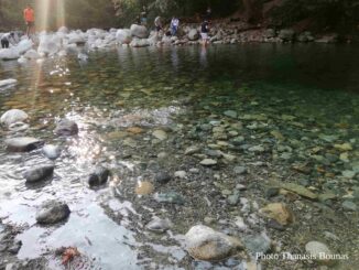 Lynn Canyon Park - A Forested Gem in North Vancouver - Photo By Thanasis Bounas