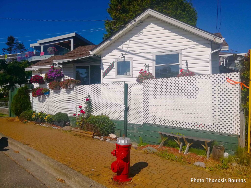 The Beauty That Explains Nothing - And Heals Everything - Photo By Thanasis Bounas