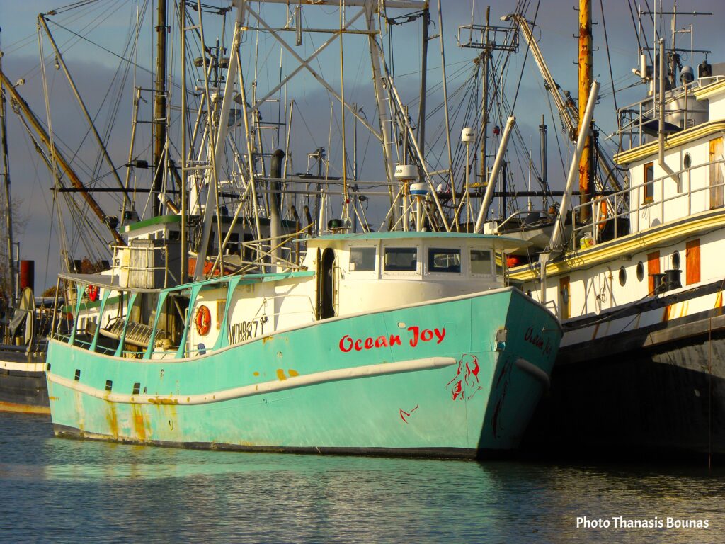 A Culinary Voyage Discovering the Flavors of BC's Ocean Harvest - Photo Thanasis Bounas