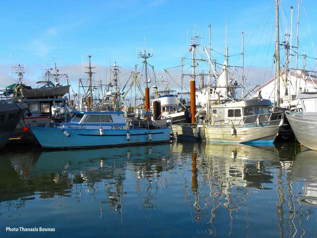 A Culinary Voyage Discovering the Flavors of BC's Ocean Harvest - Photo Thanasis Bounas