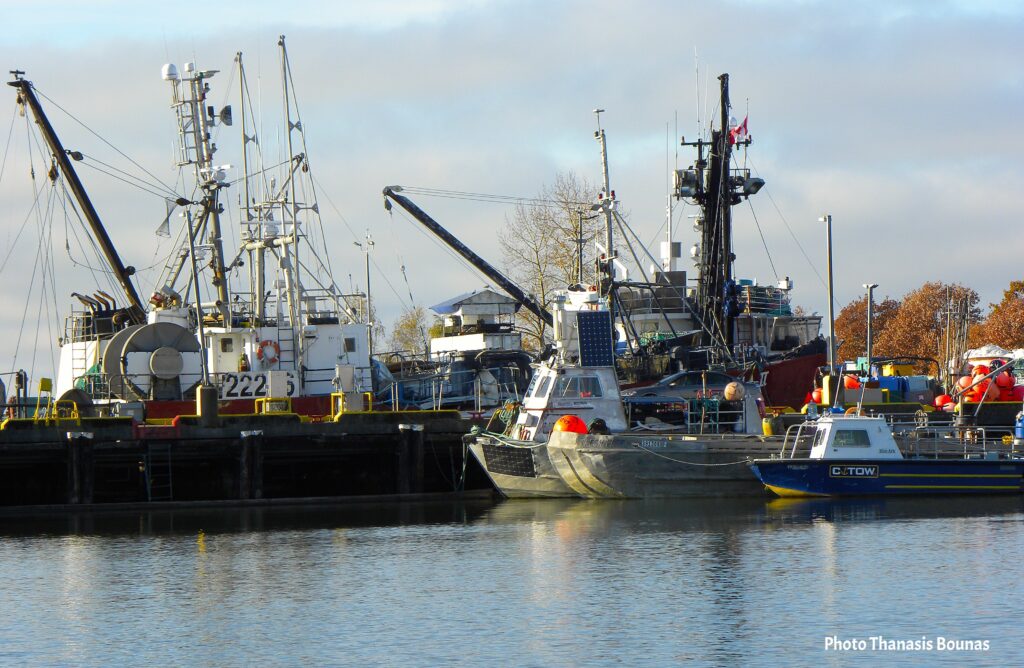 A Culinary Voyage Discovering the Flavors of BC's Ocean Harvest - Photo Thanasis Bounas