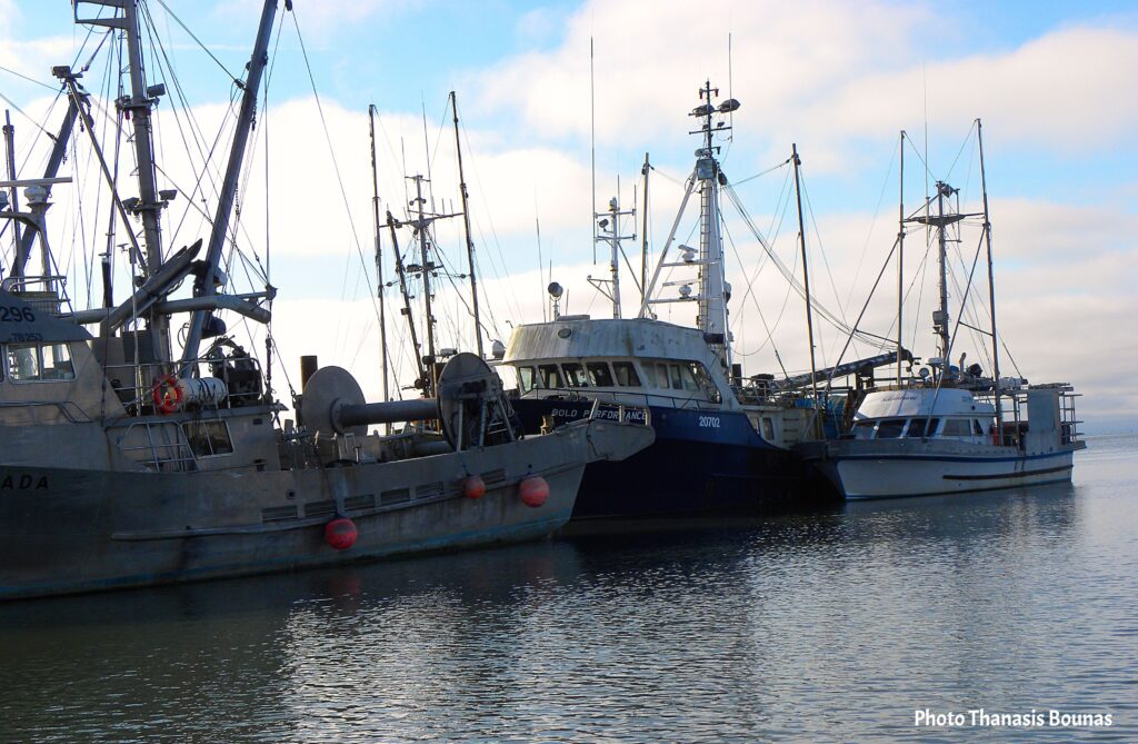 A Culinary Voyage Discovering the Flavors of BC's Ocean Harvest - Photo Thanasis Bounas