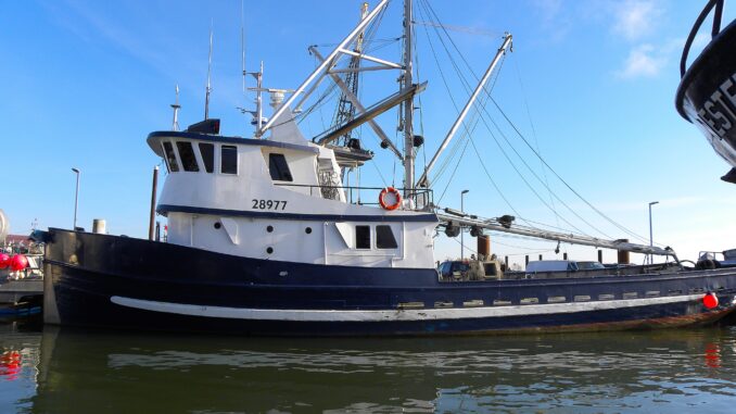 Beyond the Horizon Journeys of BC’s Fishing Vessels – Photo By Thanasis Bounas