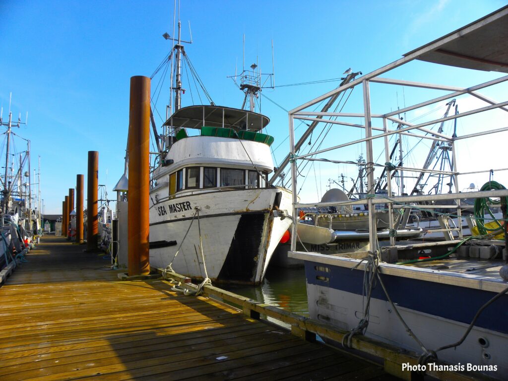 Coastal Markets and Ocean Bounty Where BC's Flavors Begin - Photo By Thanasis Bounas