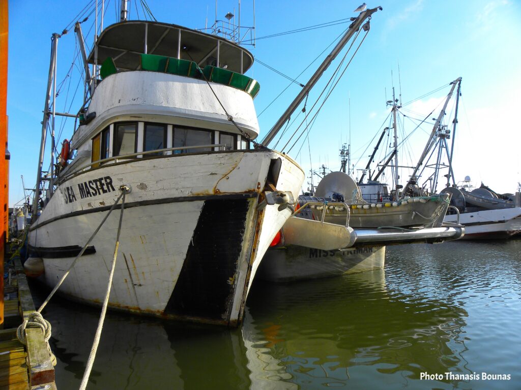 Coastal Markets and Ocean Bounty Where BC's Flavors Begin - Photo By Thanasis Bounas
