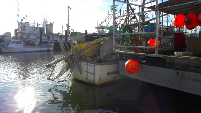 Coastal Markets and Ocean Bounty Where BC's Flavors Begin - Photo By Thanasis Bounas