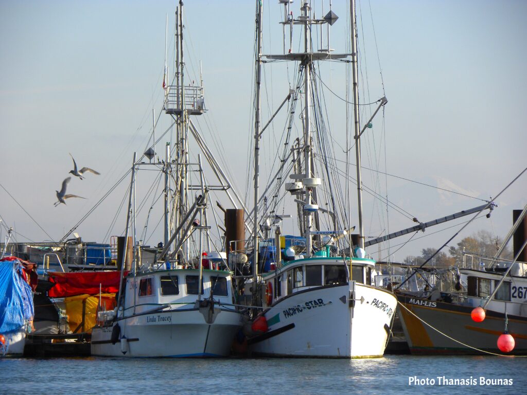 Fishermen's Tales and Tides The Soul of British Columbia's Coast - Photo By Thanasis Bounas
