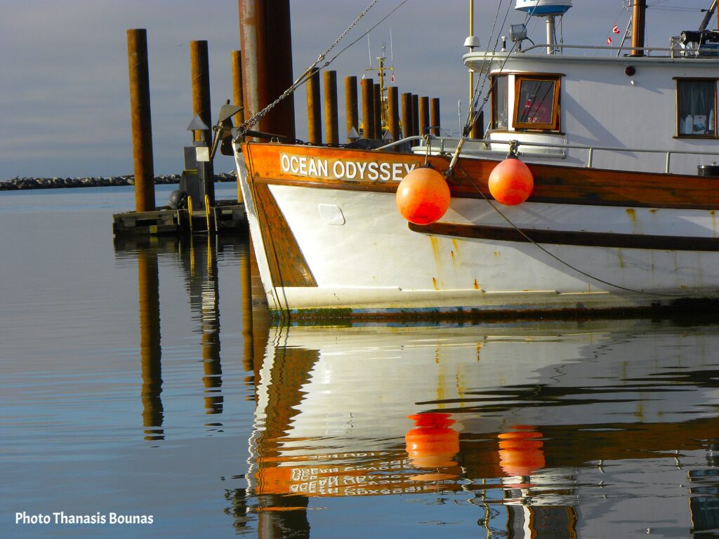 From Nets to Feasts The Journey of BC's Freshest Catches - Photo By Thanasis Bounas