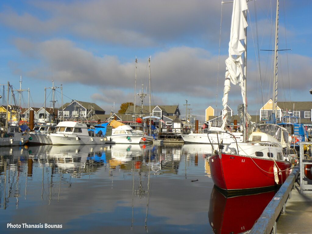 From Nets to Feasts The Journey of BC's Freshest Catches - Photo By Thanasis Bounas
