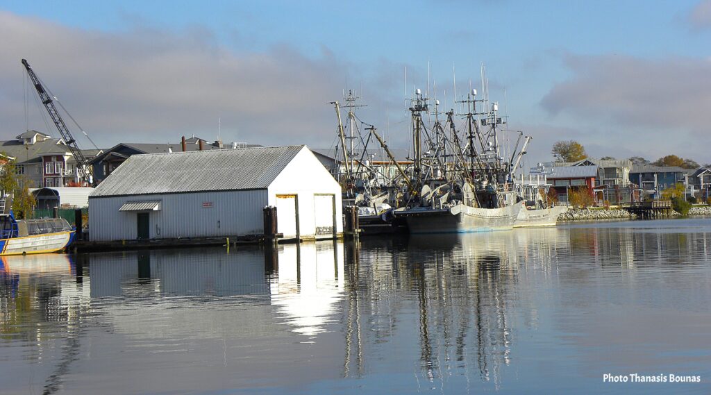 From Nets to Feasts The Journey of BC's Freshest Catches - Photo By Thanasis Bounas