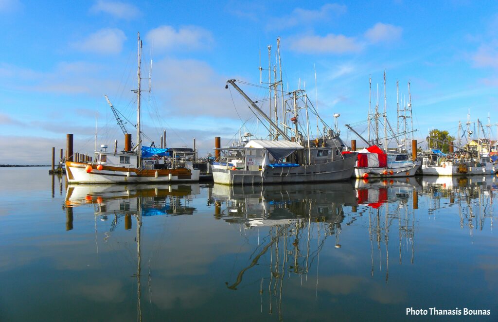 From Nets to Feasts The Journey of BC's Freshest Catches - Photo By Thanasis Bounas