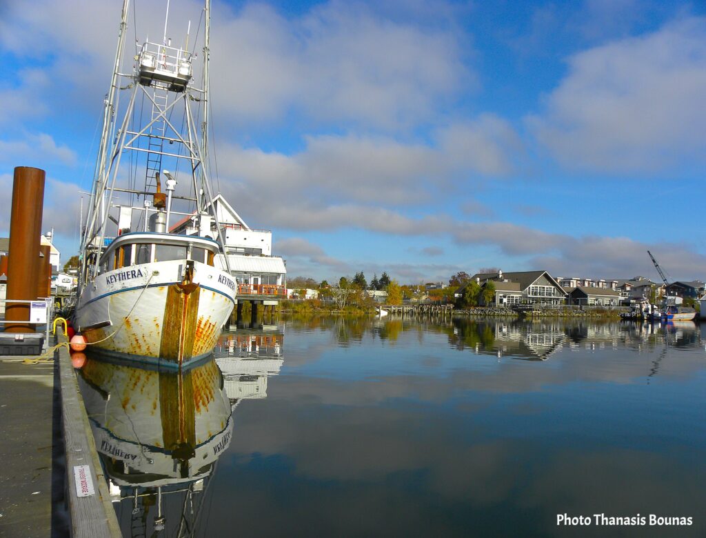 From Nets to Feasts The Journey of BC's Freshest Catches - Photo By Thanasis Bounas