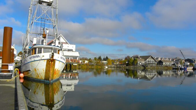 From Nets to Feasts The Journey of BC's Freshest Catches - Photo By Thanasis Bounas