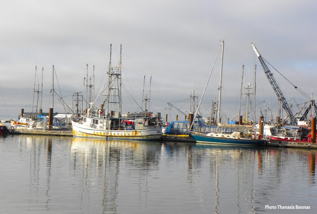 From Ocean to Plate The Unrivaled Seafood of British Columbia - Photo Thanasis Bounas
