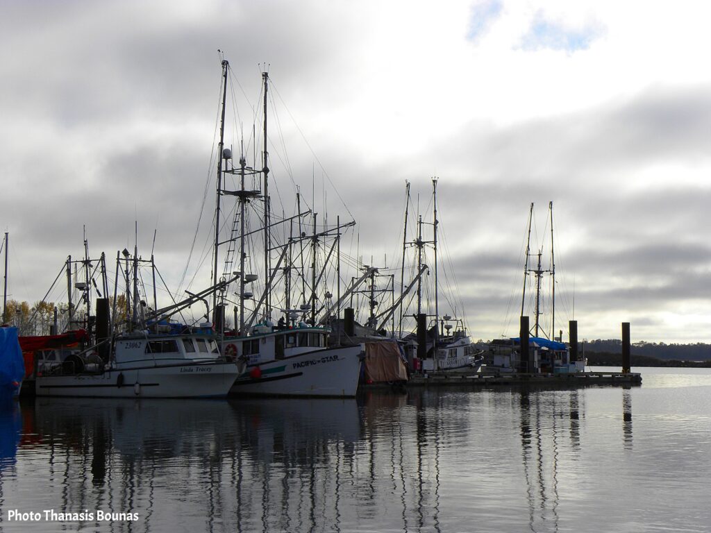 From Ocean to Plate The Unrivaled Seafood of British Columbia - Photo Thanasis Bounas