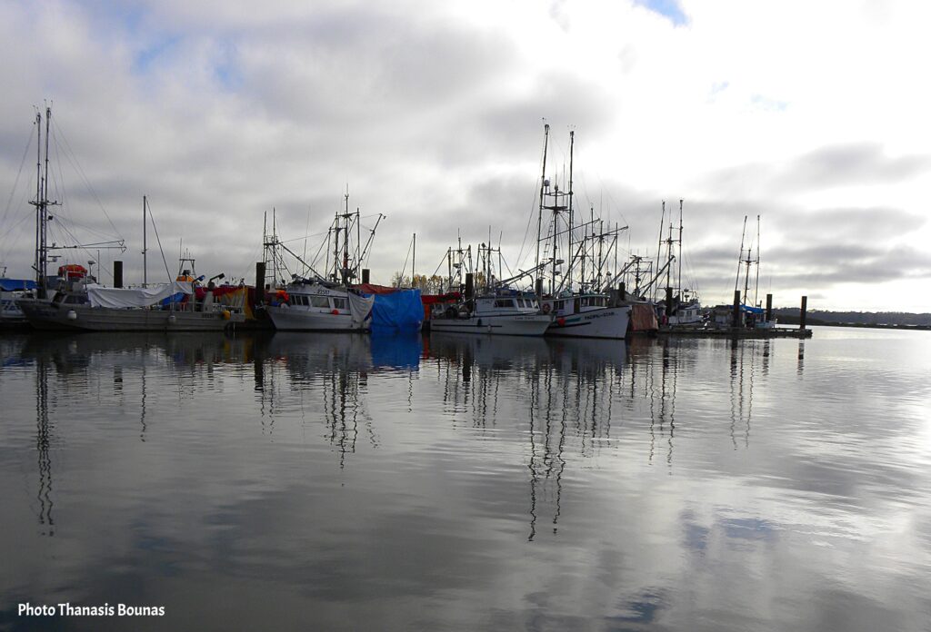 From Ocean to Plate The Unrivaled Seafood of British Columbia - Photo Thanasis Bounas