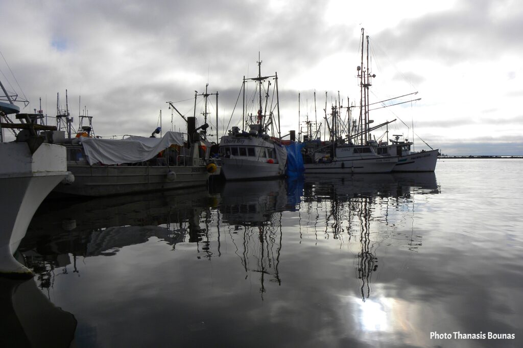 From Ocean to Plate The Unrivaled Seafood of British Columbia - Photo Thanasis Bounas