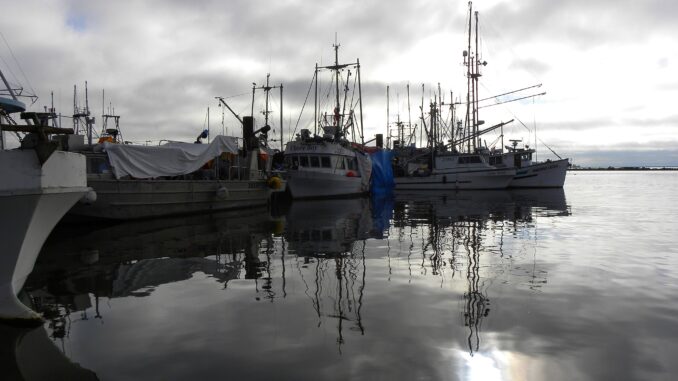 From Ocean to Plate The Unrivaled Seafood of British Columbia - Photo Thanasis Bounas