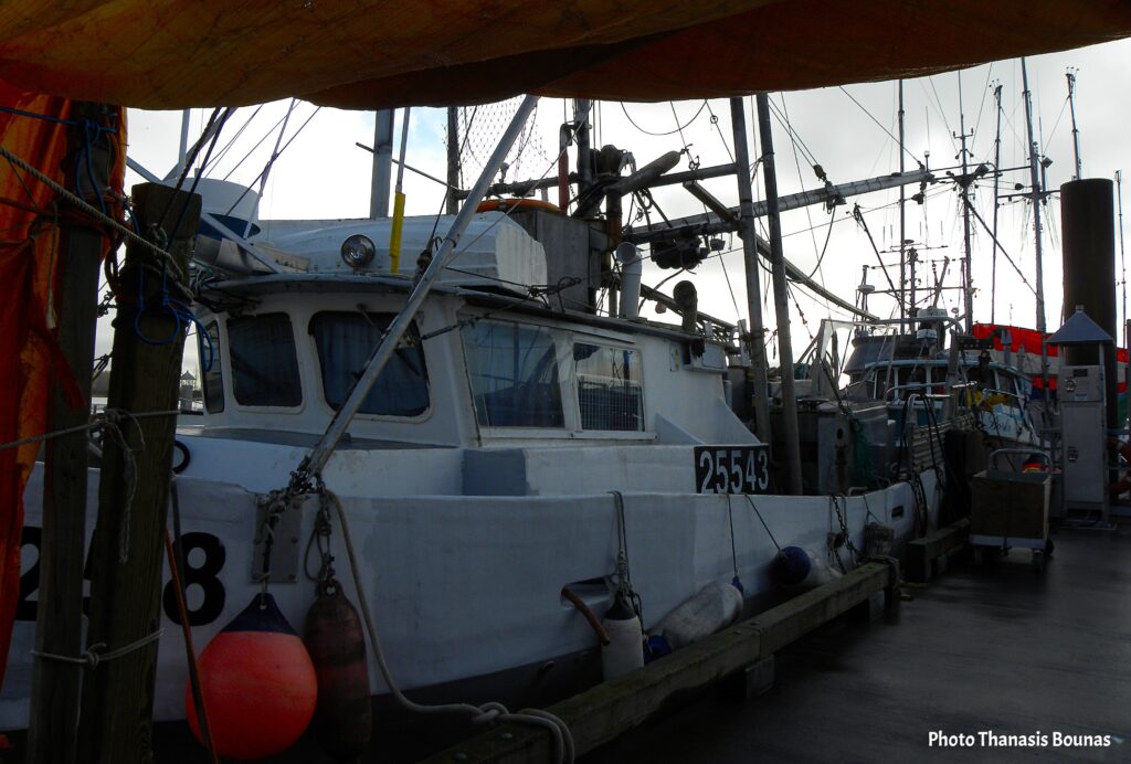 Discover seafood treasures British Columbia — wild salmon, crab, prawns, and oysters from the pure Pacific waters of Canada’s coast.