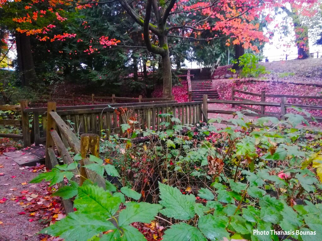 Renfrew Park – A Community Oasis in Vancouver - Photo By Thanasis Bounas