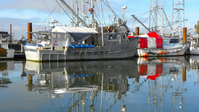 Sailing Through Time The Enduring Maritime Spirit of British Columbia - Photo By Thanasis Bounas