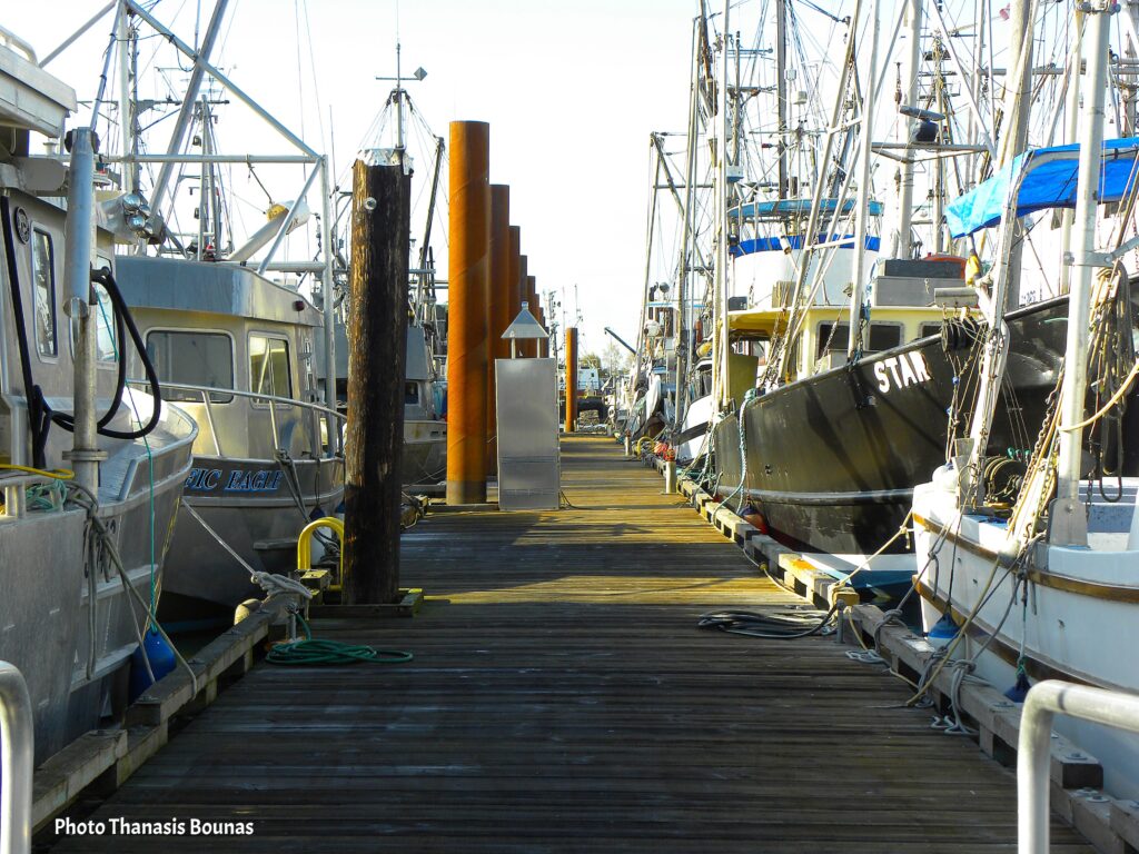Saltwater Symphony The Poetic Life of BC's Fishing Villages - Photo By Thanasis Bounas