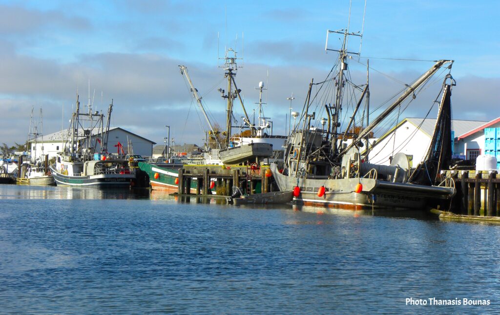 Saltwater Symphony The Poetic Life of BC's Fishing Villages - Photo By Thanasis Bounas