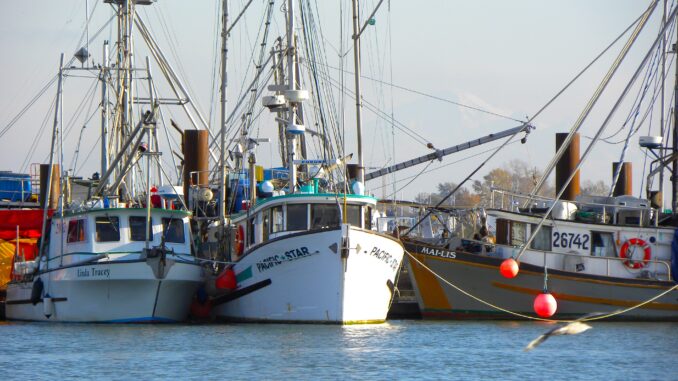 Saltwater Symphony The Poetic Life of BC's Fishing Villages - Photo By Thanasis Bounas