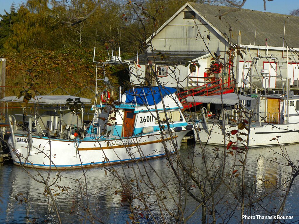 Scotch Pond Dreams Where Fishing Boats Paint the Horizon - Photo By Thanasis Bounas