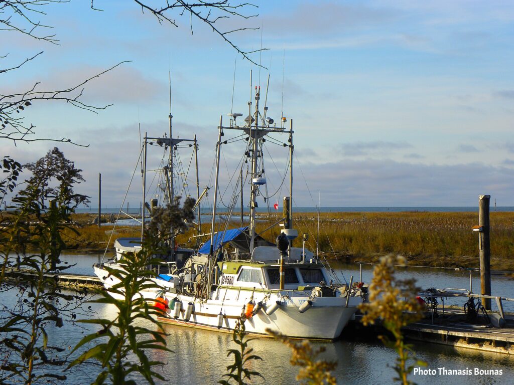 Scotch Pond Dreams Where Fishing Boats Paint the Horizon - Photo By Thanasis Bounas
