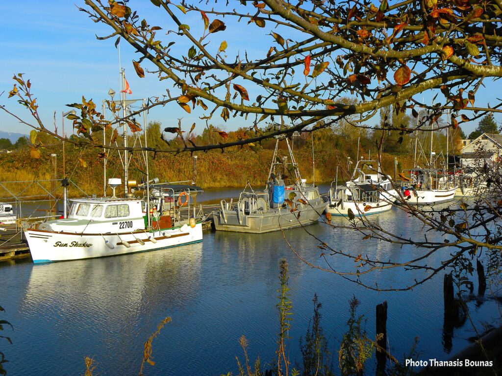 Scotch Pond Dreams Where Fishing Boats Paint the Horizon - Photo By Thanasis Bounas