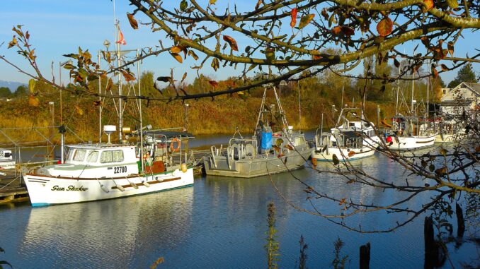 Scotch Pond Dreams Where Fishing Boats Paint the Horizon - Photo By Thanasis Bounas