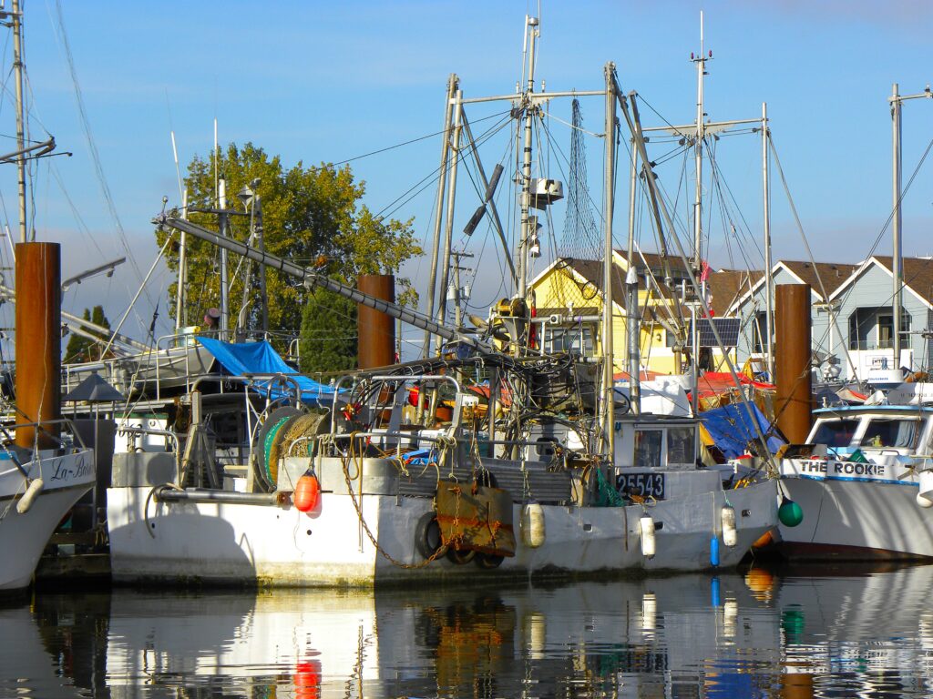 Seasons of the Sea: How the Pacific Shapes BC’s Seafood - Photo By Thanasis Bounas