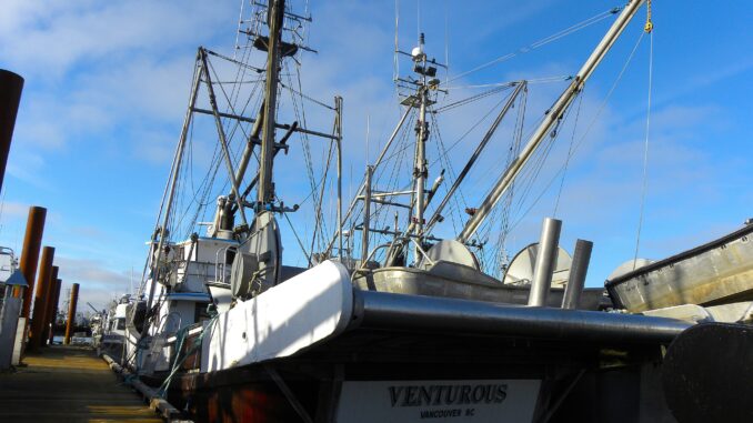 Seasons of the Sea: How the Pacific Shapes BC’s Seafood - Photo By Thanasis Bounas
