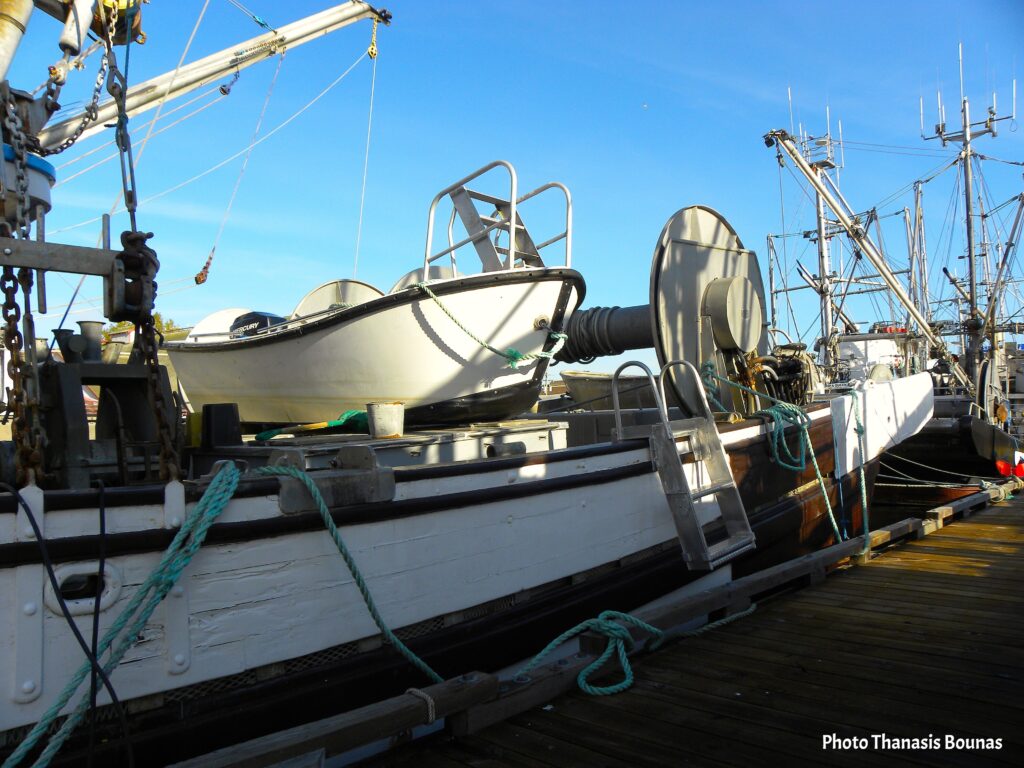 Seasons of the Sea: How the Pacific Shapes BC’s Seafood - Photo By Thanasis Bounas